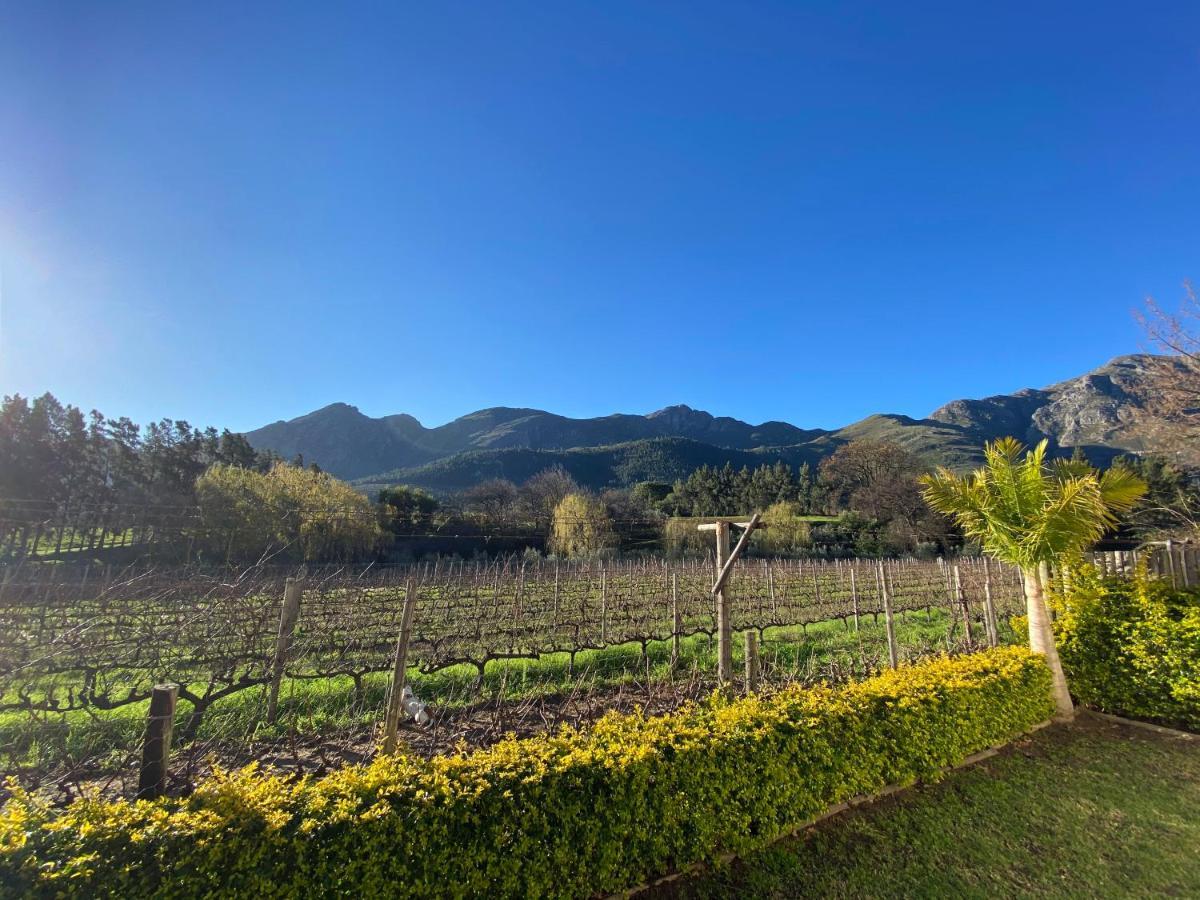 Olive And Vine Farm Cottage Franschhoek Εξωτερικό φωτογραφία