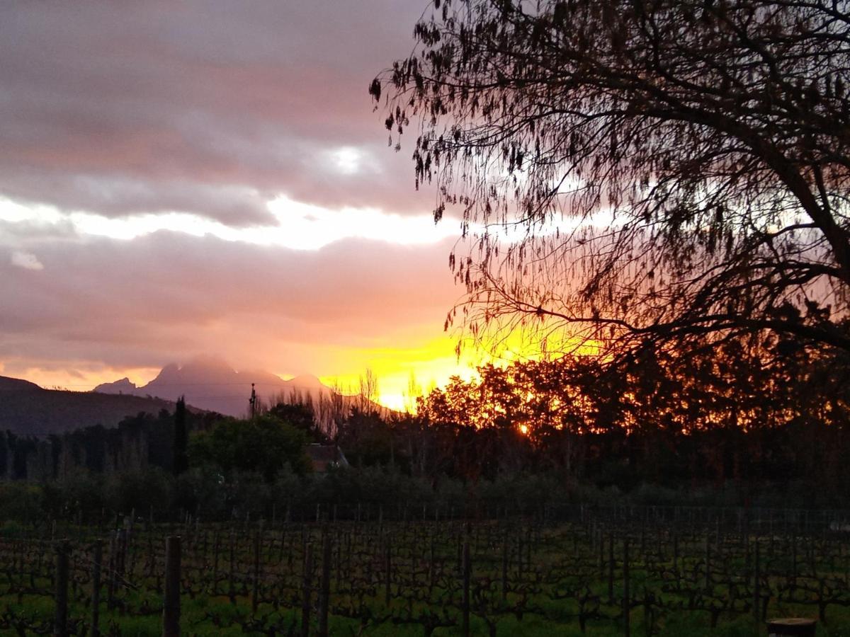 Olive And Vine Farm Cottage Franschhoek Εξωτερικό φωτογραφία