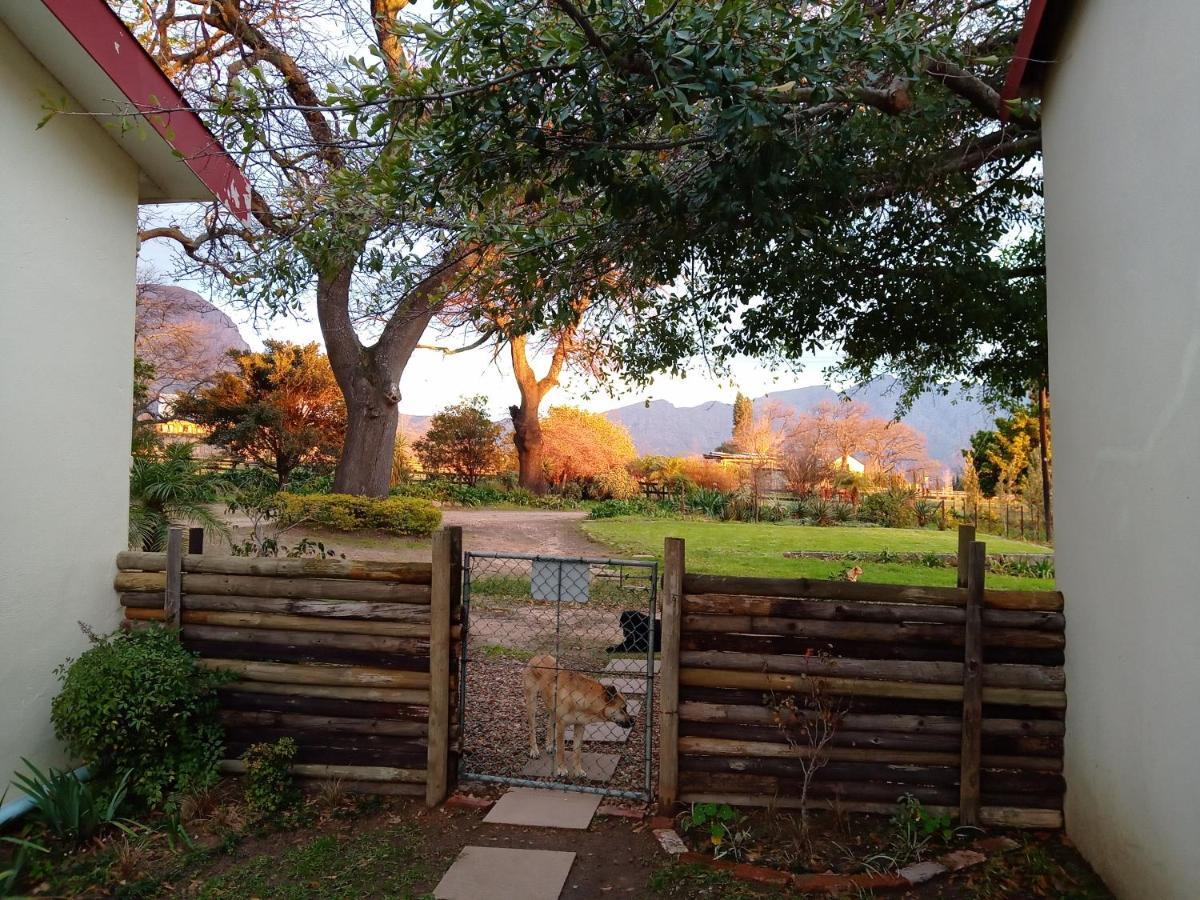 Olive And Vine Farm Cottage Franschhoek Εξωτερικό φωτογραφία