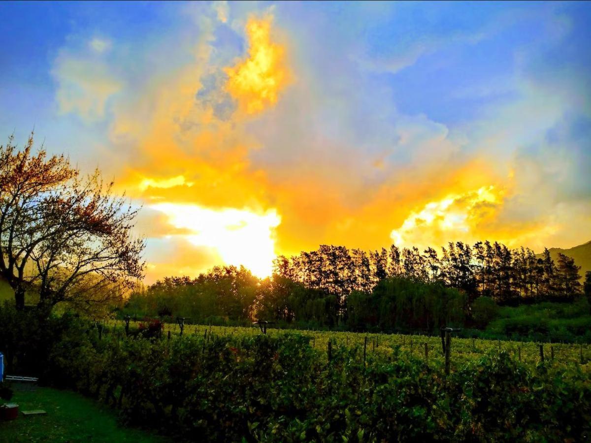 Olive And Vine Farm Cottage Franschhoek Εξωτερικό φωτογραφία