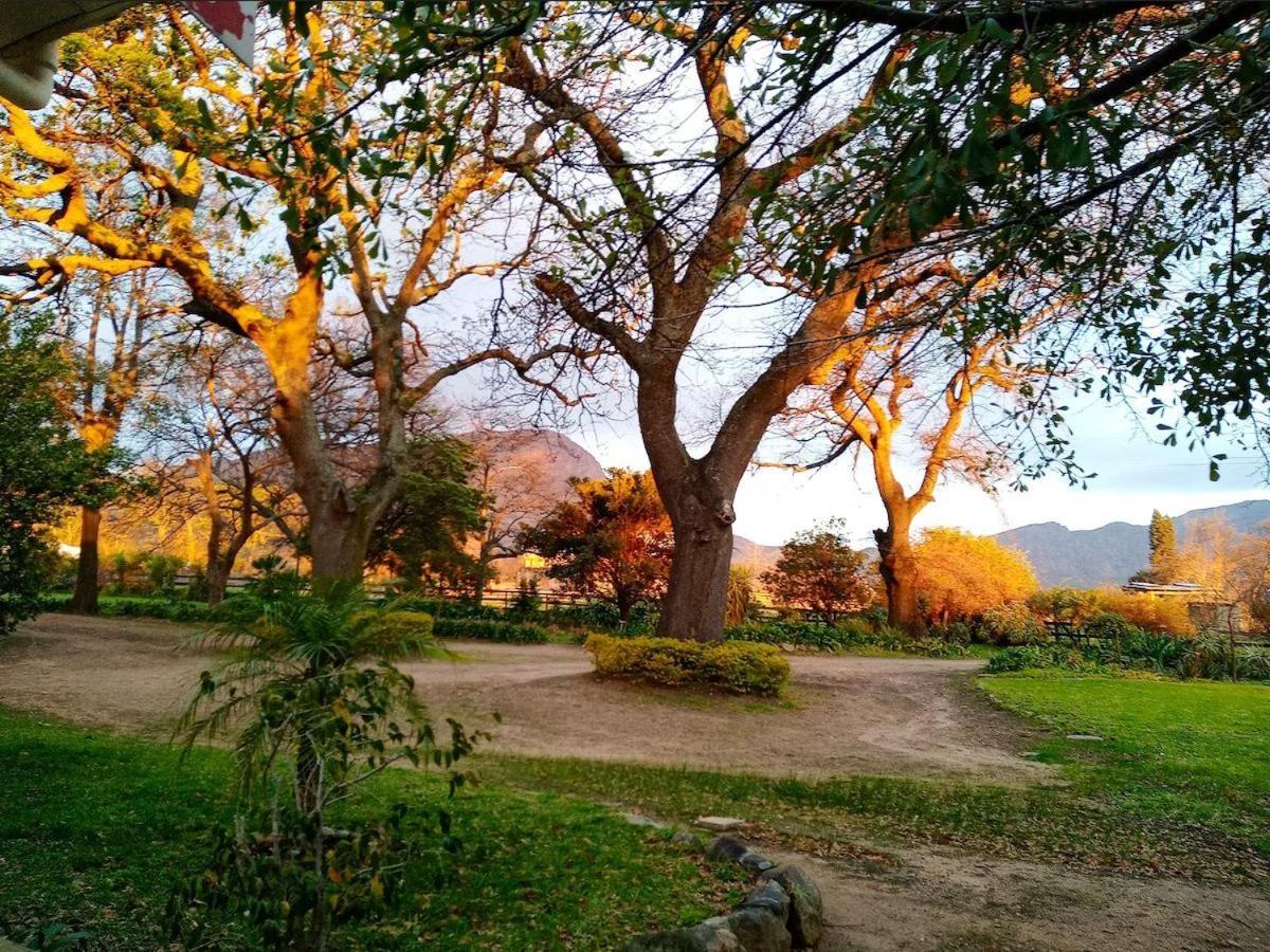 Olive And Vine Farm Cottage Franschhoek Εξωτερικό φωτογραφία