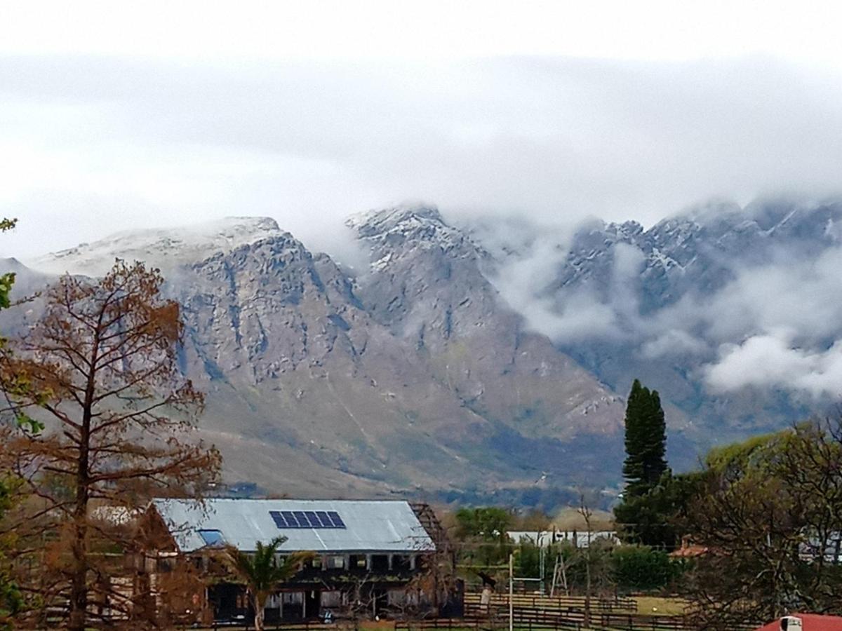 Olive And Vine Farm Cottage Franschhoek Εξωτερικό φωτογραφία