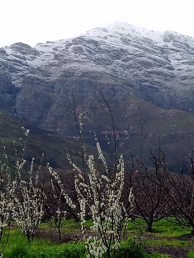 Olive And Vine Farm Cottage Franschhoek Εξωτερικό φωτογραφία