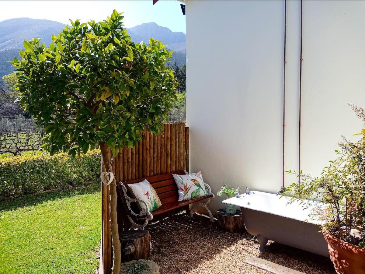 Olive And Vine Farm Cottage Franschhoek Δωμάτιο φωτογραφία
