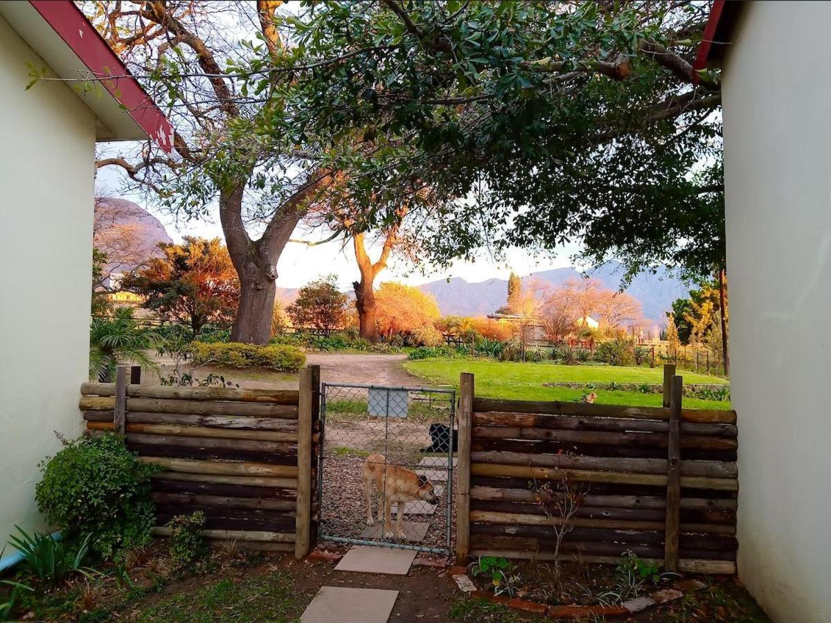 Olive And Vine Farm Cottage Franschhoek Δωμάτιο φωτογραφία